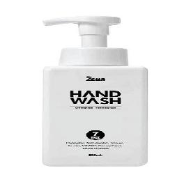 Zetta Foaming Antibacterial Hand Wash (Greengrape)
